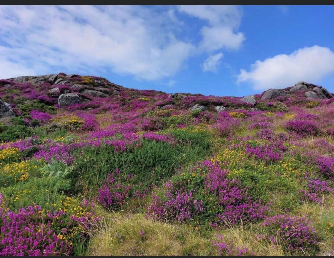 فيلا Mountain House Omeath Near Carlingford O Meith المظهر الخارجي الصورة