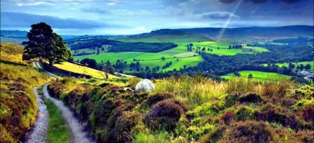 فيلا Mountain House Omeath Near Carlingford O Meith المظهر الخارجي الصورة