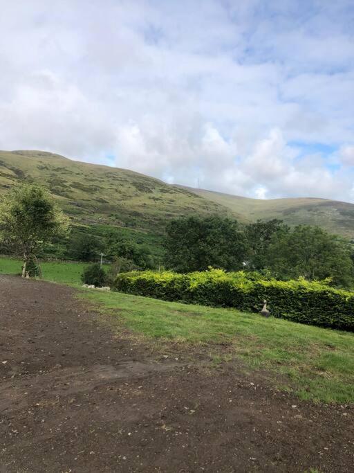 فيلا Mountain House Omeath Near Carlingford O Meith المظهر الخارجي الصورة